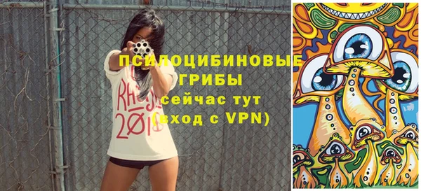 Альфа ПВП Липки
