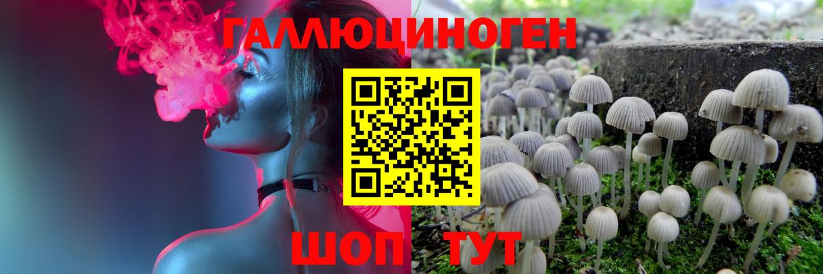 Усолье-Сибирское  Псилоцибиновые грибы прущие грибы  Галлюциногенные грибы Psilocybe  Вход с VPN 