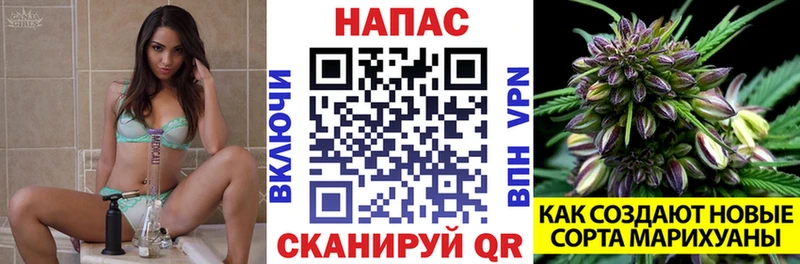 хочу наркоту Усолье-Сибирское сайты даркнета клад Бошки марихуана SATIVA & INDICA
